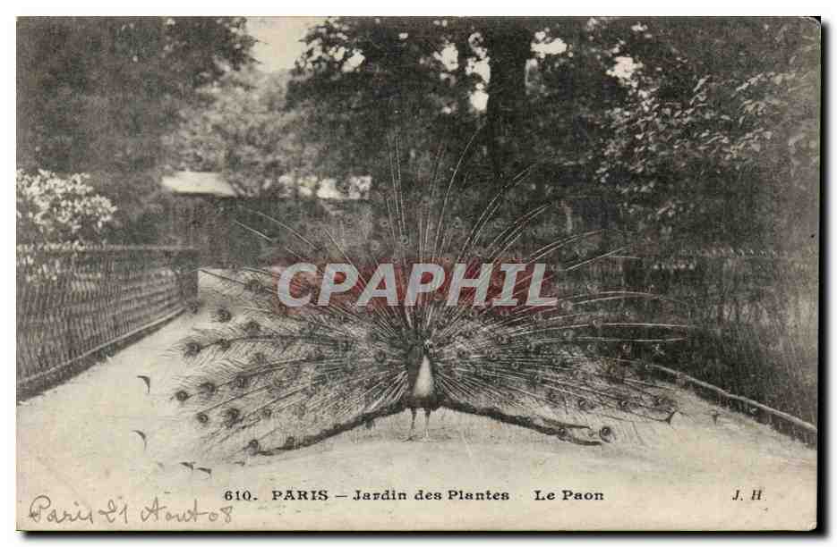 Paris - 5 - Jardin des Plantes - Le Paon - peacock CPA 