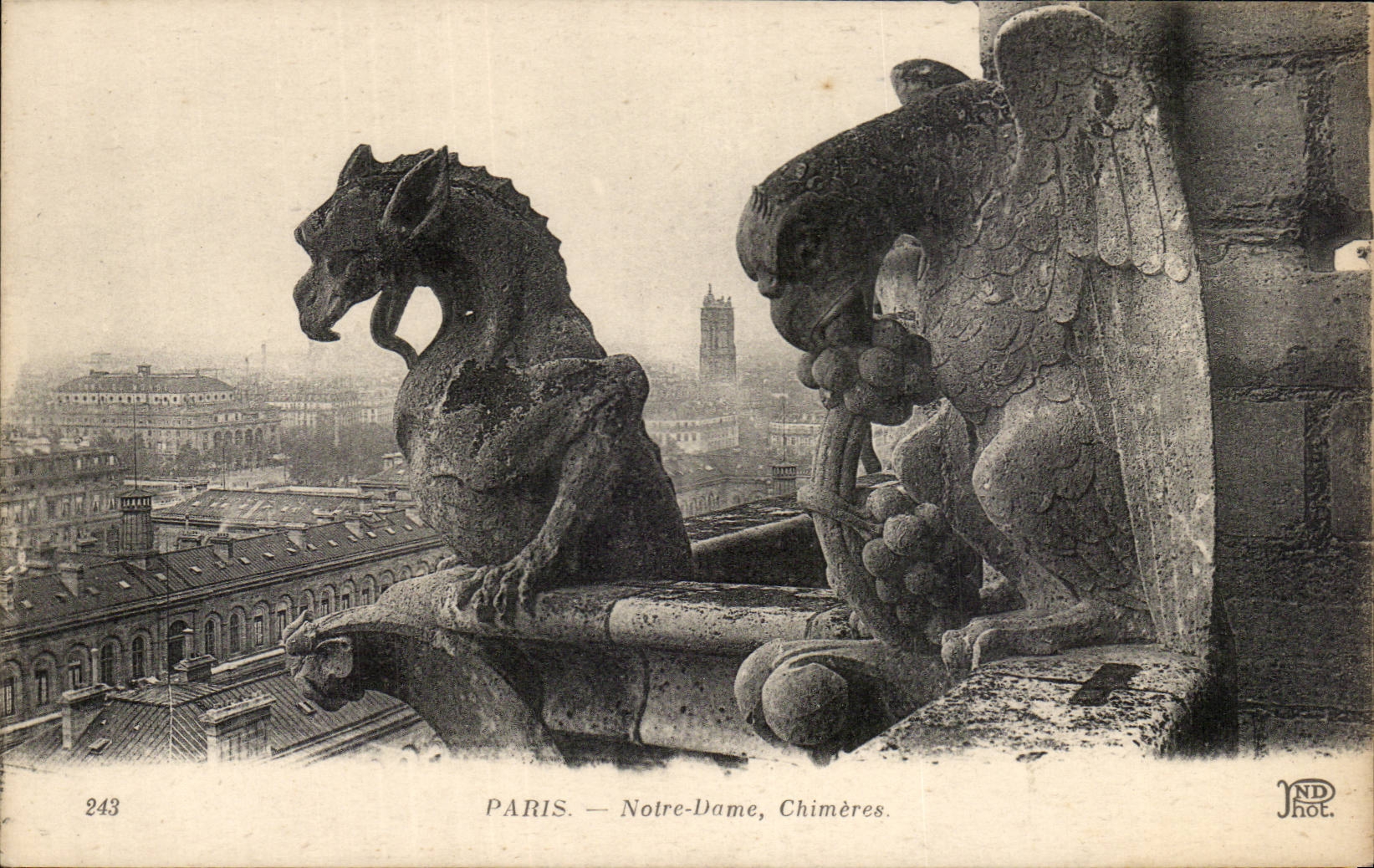 Paris - 4 - Notre Dame - La Chimere - aigle - eagle - CPA 
