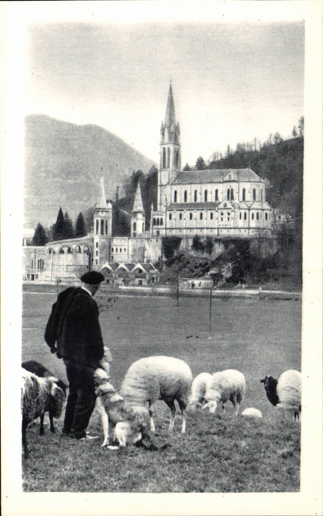 Lourdes - La Basilique CPA 