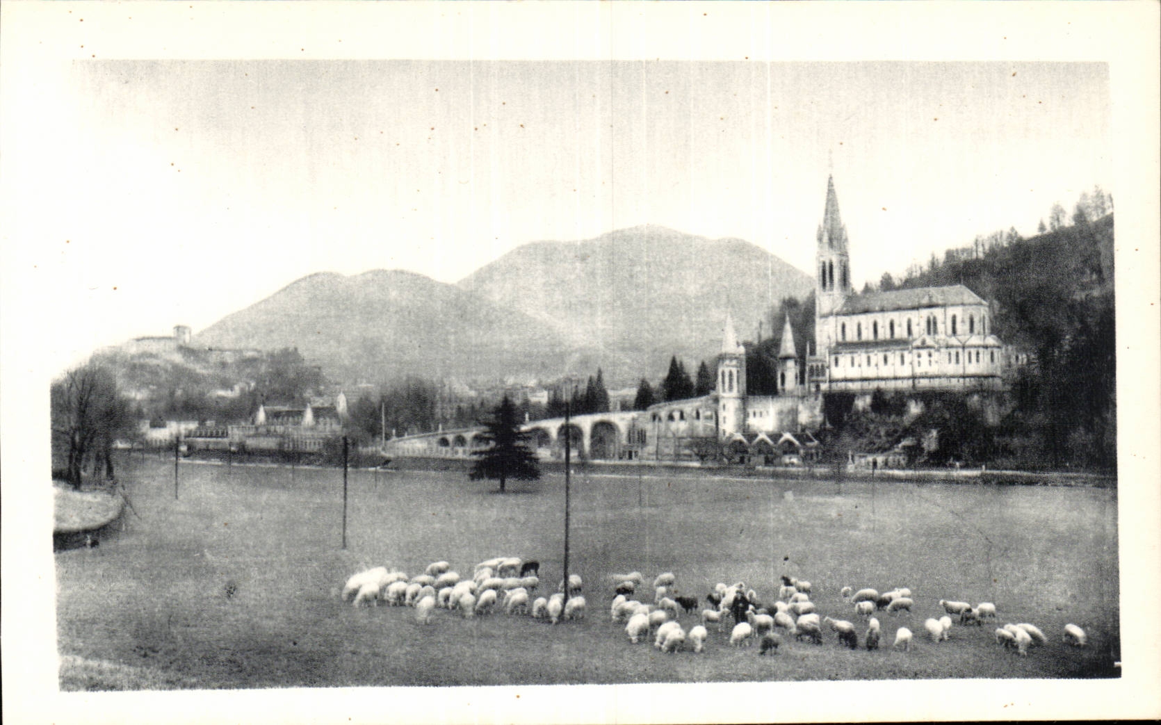 Lourdes - La Basilique et le Pic du Jer CPA 