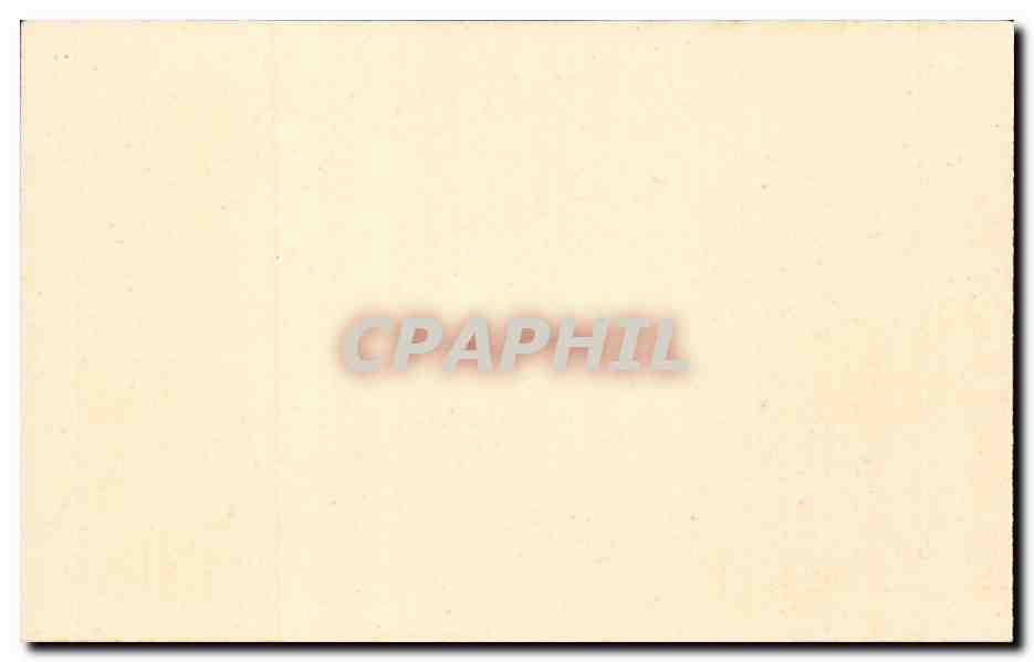 Austriche - Austria - Oesstereich - Tyrol - Tirol - Ferdinand Allee - CPA  — Rückseite