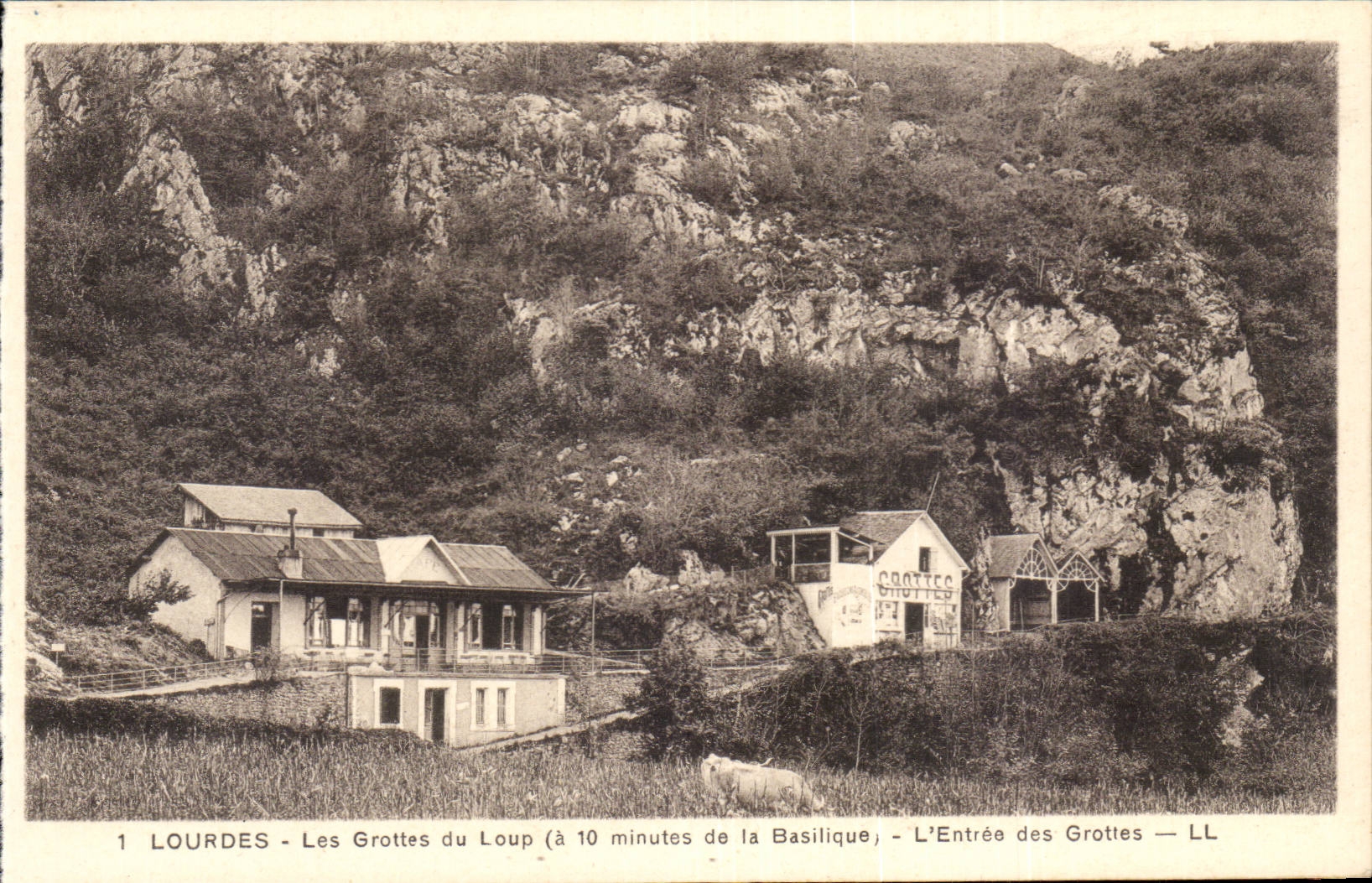 Lourdes - Les Grottes du Loup - L'Entree les Grottes CPA 