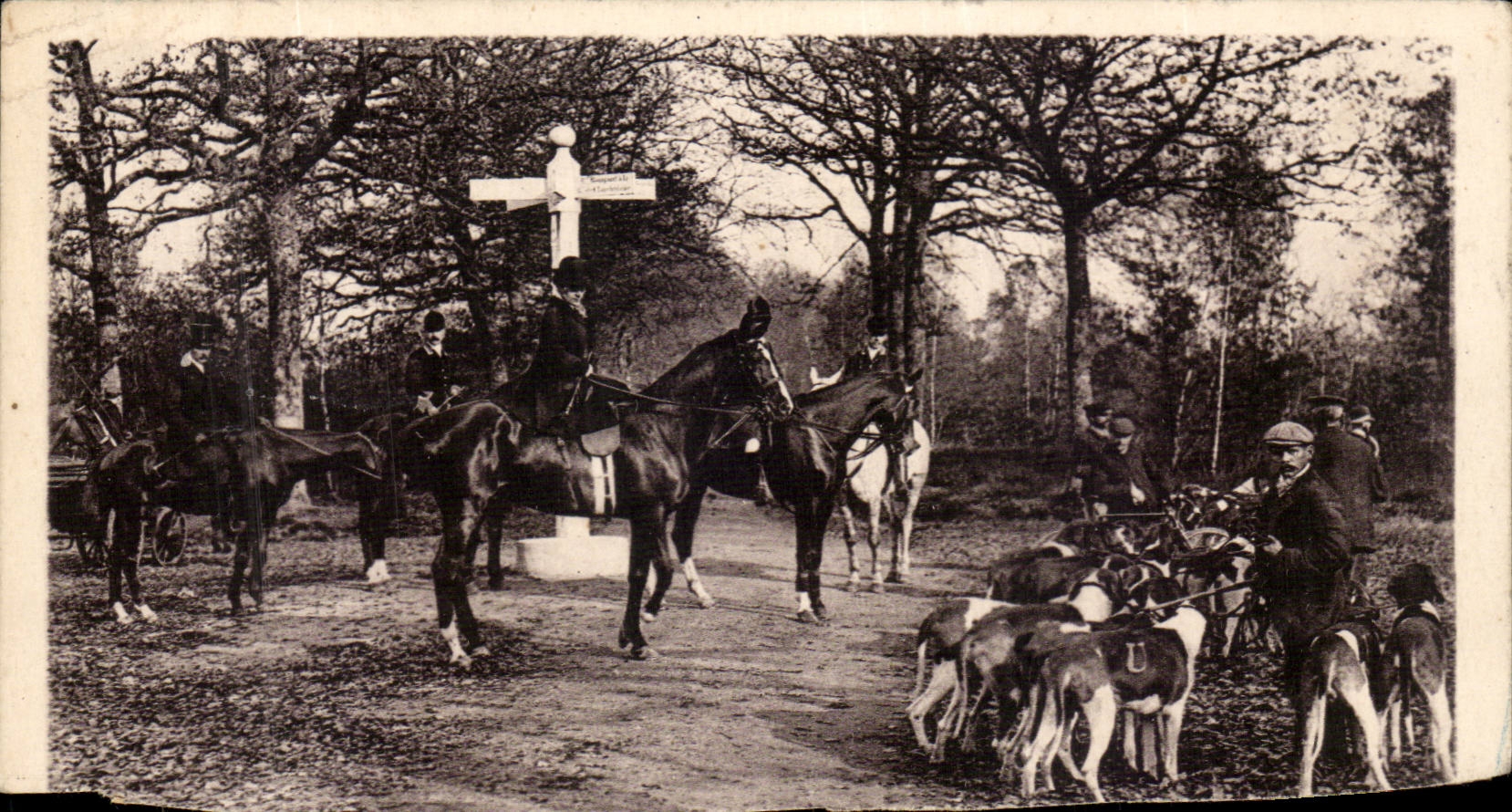 CPA Chasse a cour (chien chiens dog dogs cheval)