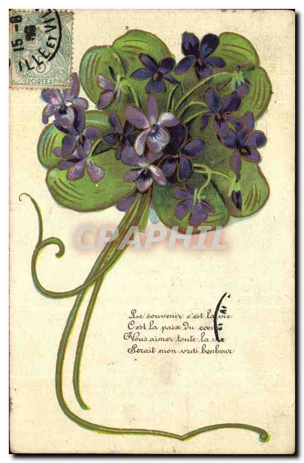 Violettes — bouquet — éditeur non visible, série 708