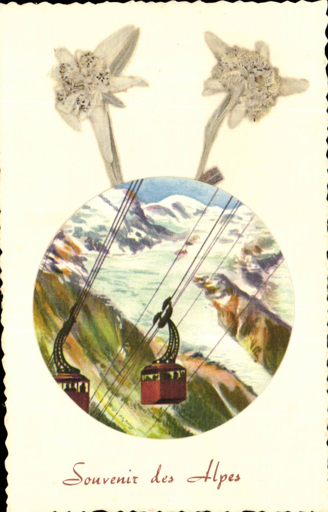 CPA Fantaisie Souvenir des Alpes (teleferique fleur)