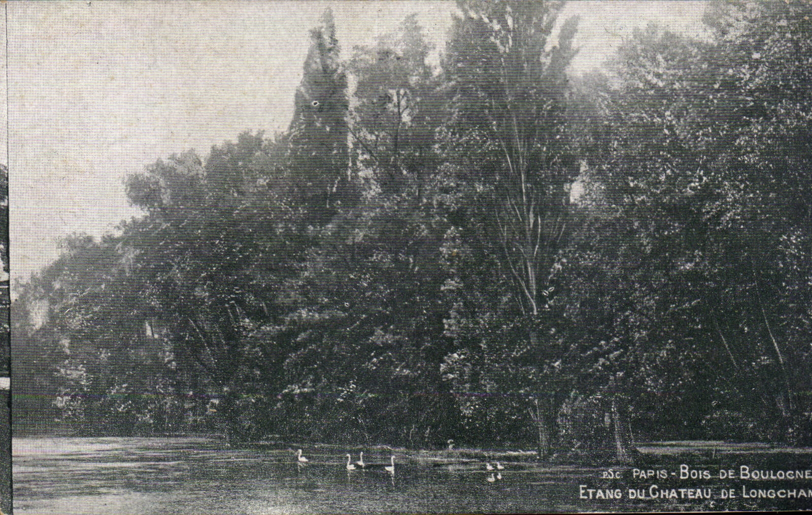 Paris CPA Bois de Boulogne Etang du chateau de Longchamp