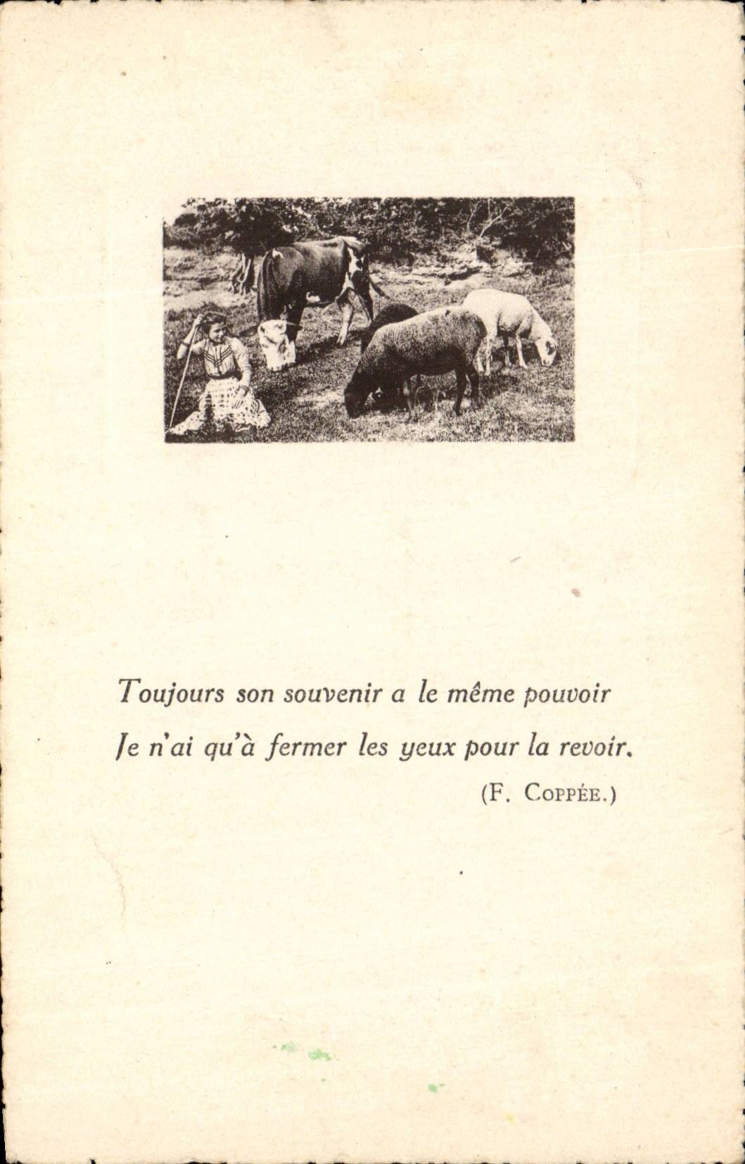 CPA Vaches et moutons Elevage