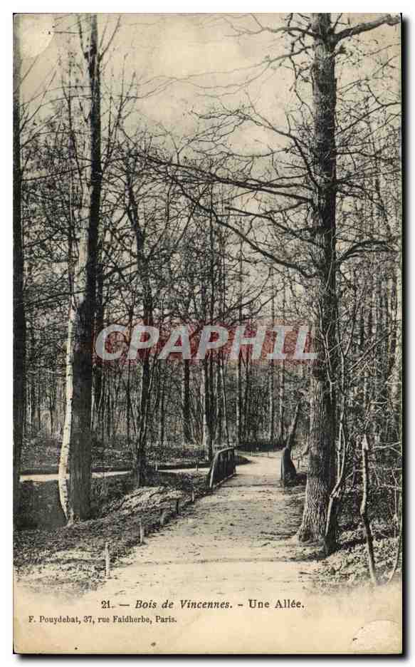 CPA Paris Bois de Vincennes Une allee