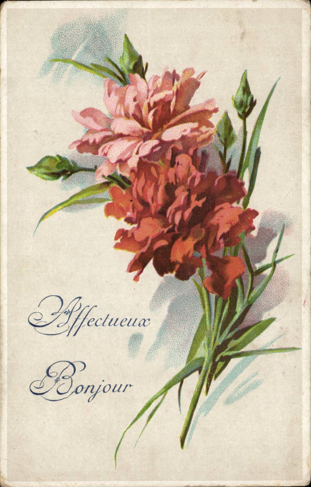 Fleurs - Beautiful pink flowers - CPA 