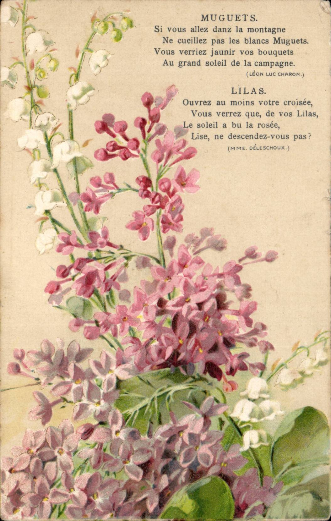 Feurs - Flowers - poesie - muguets - lilas - CPA 