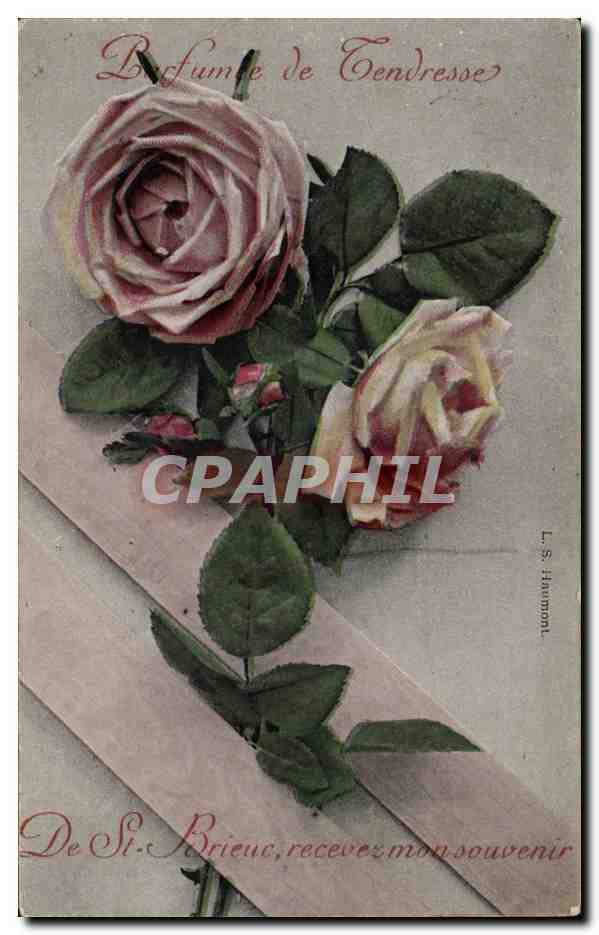 Fleurs - Flowers - Rose - Parfume de Tendresse De St Brieuc recevez mon souvenir - CPA 