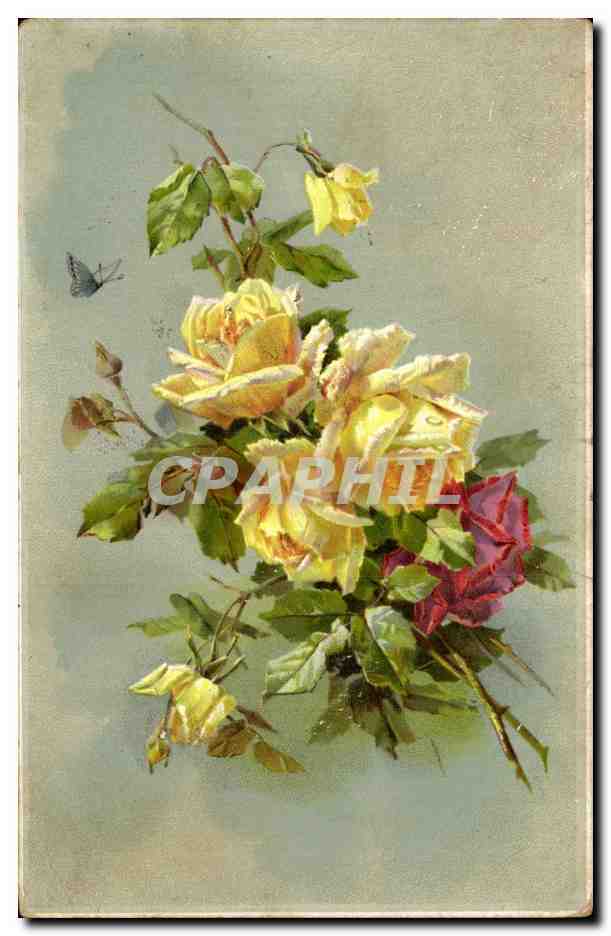 Fleurs - Flowers - Pretty Roses - CPA 