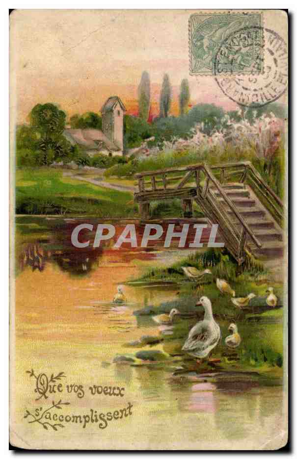 Animaux - Canard - duck - nice country scene - CPA 