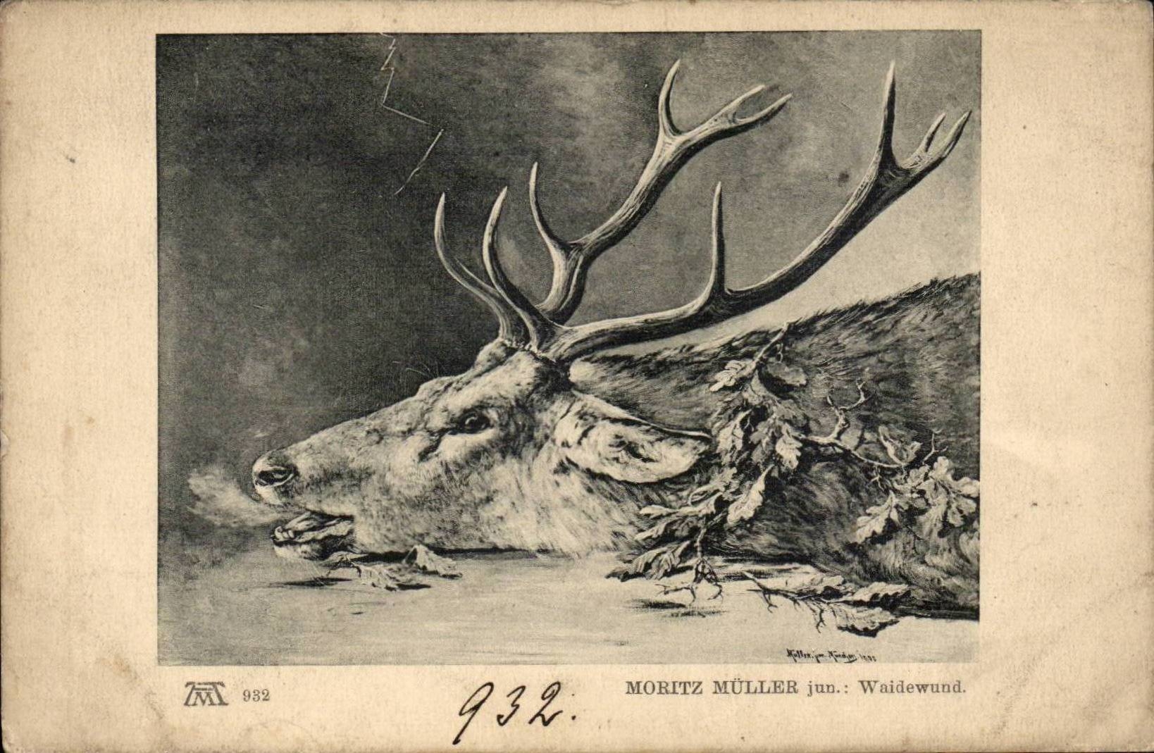 Cerf — Mort — Moritz Müller jun. — Waide wund — série 982
