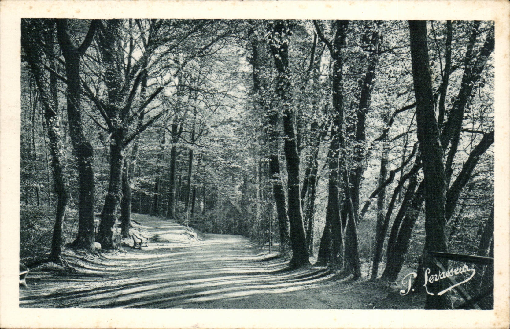 Allée du Dante — Bagnoles-de-l'Orne — P. Lorvaiseur