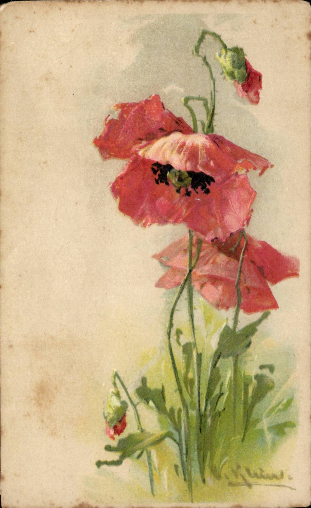 CPA Fantaisie Fleurs