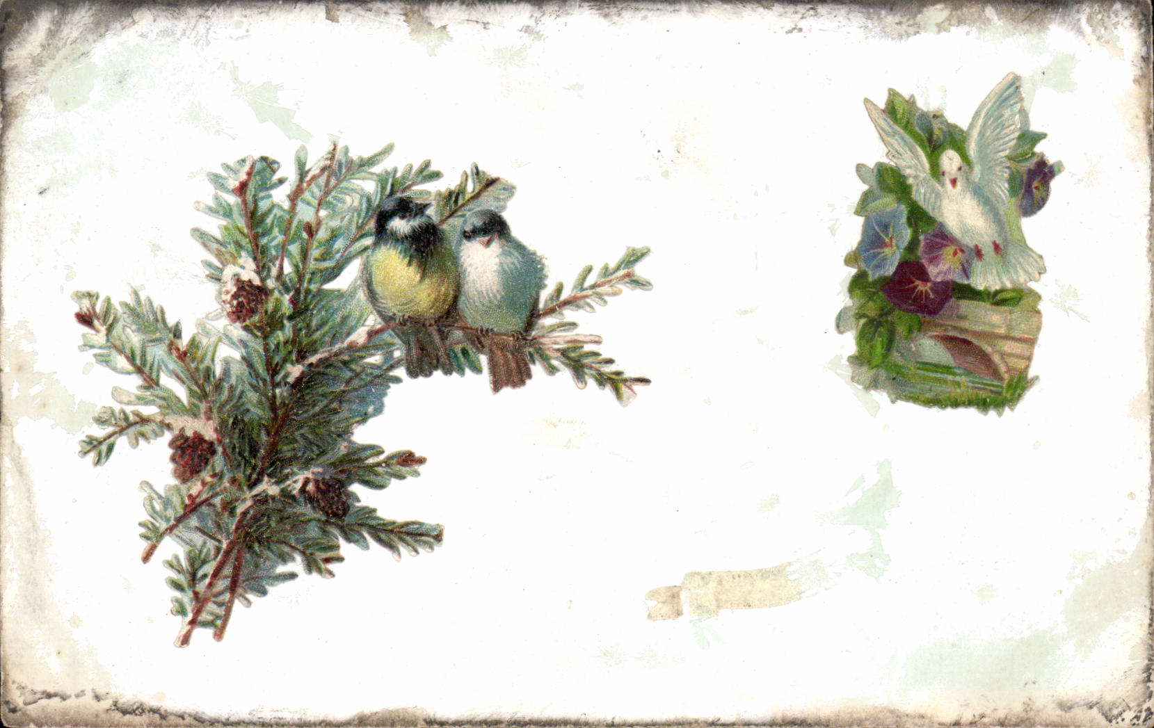 CPA Fantaisie Oiseaux en relief
