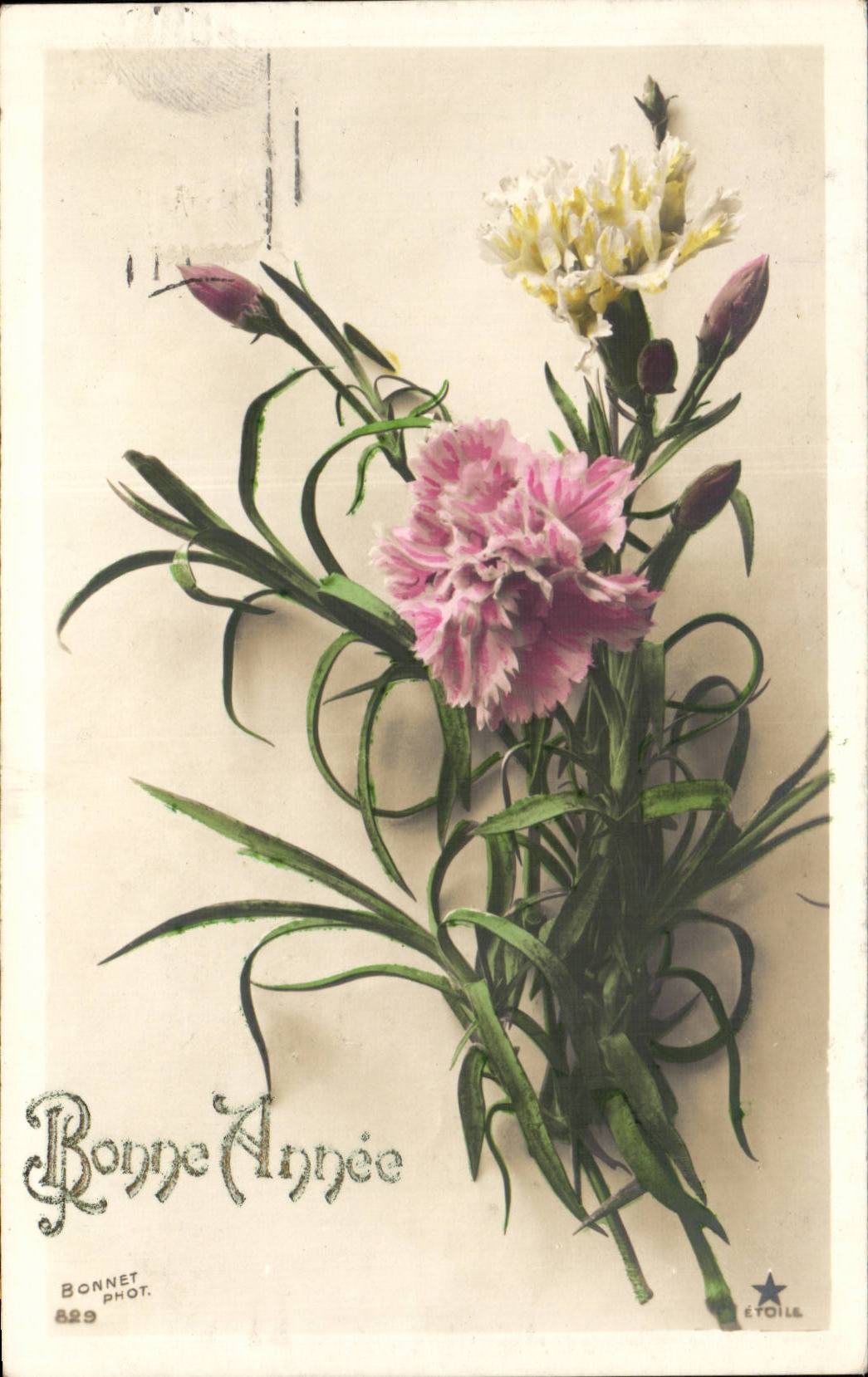 CPA Fantaisie Fleurs Bonne annee
