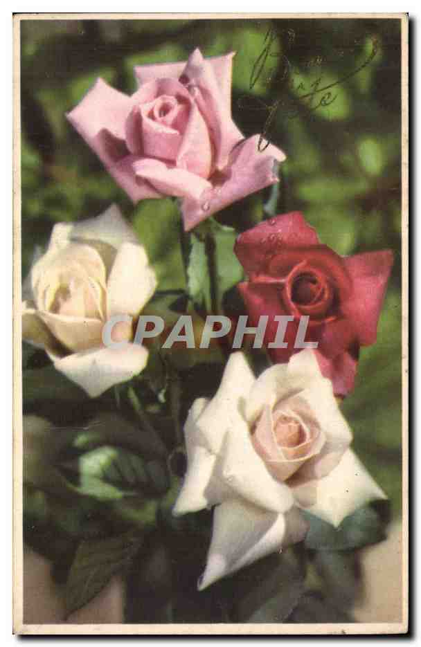CPA Fantaisie Fleurs Roses Bonne fete