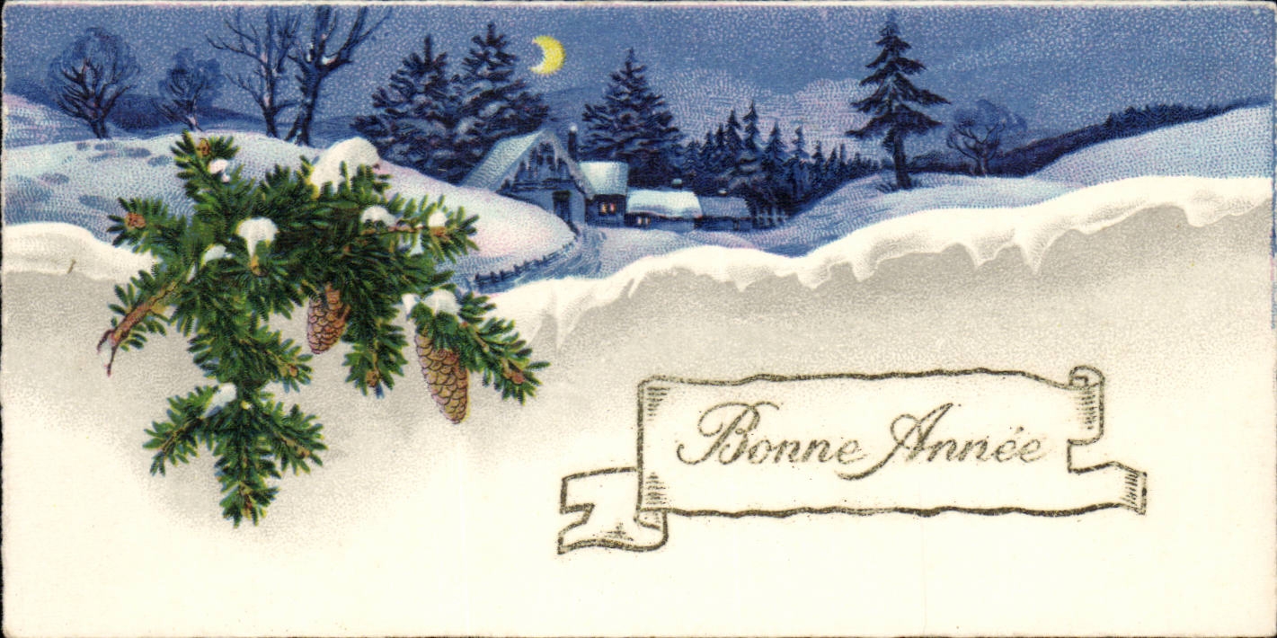 CPA Fantaisie Bonne annee