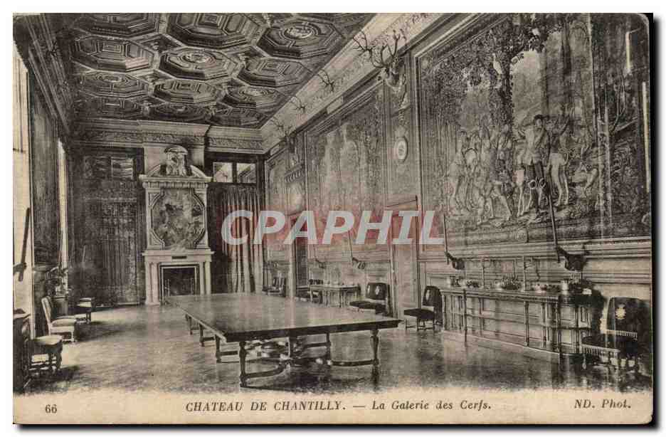 CPA Chateau de Chantilly La galerie des cerfs