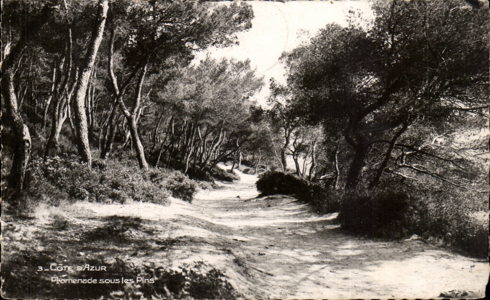 Côte d'Azur — Promenade sous les Pins — Éditions Françaises Réproduction