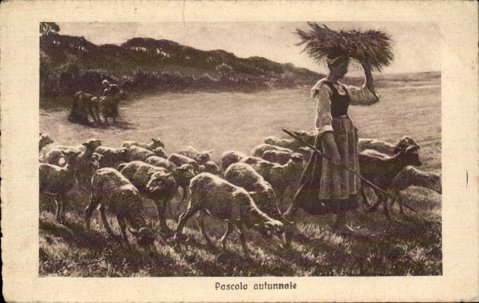 CPA Fantaisie Femme et moutons Brebis 