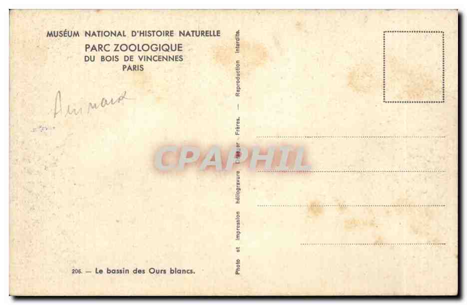 Bassin des Ours blancs — Muséum national d'Histoire naturelle, Parc zoologique du Bois de Vincennes, Paris — Reverso