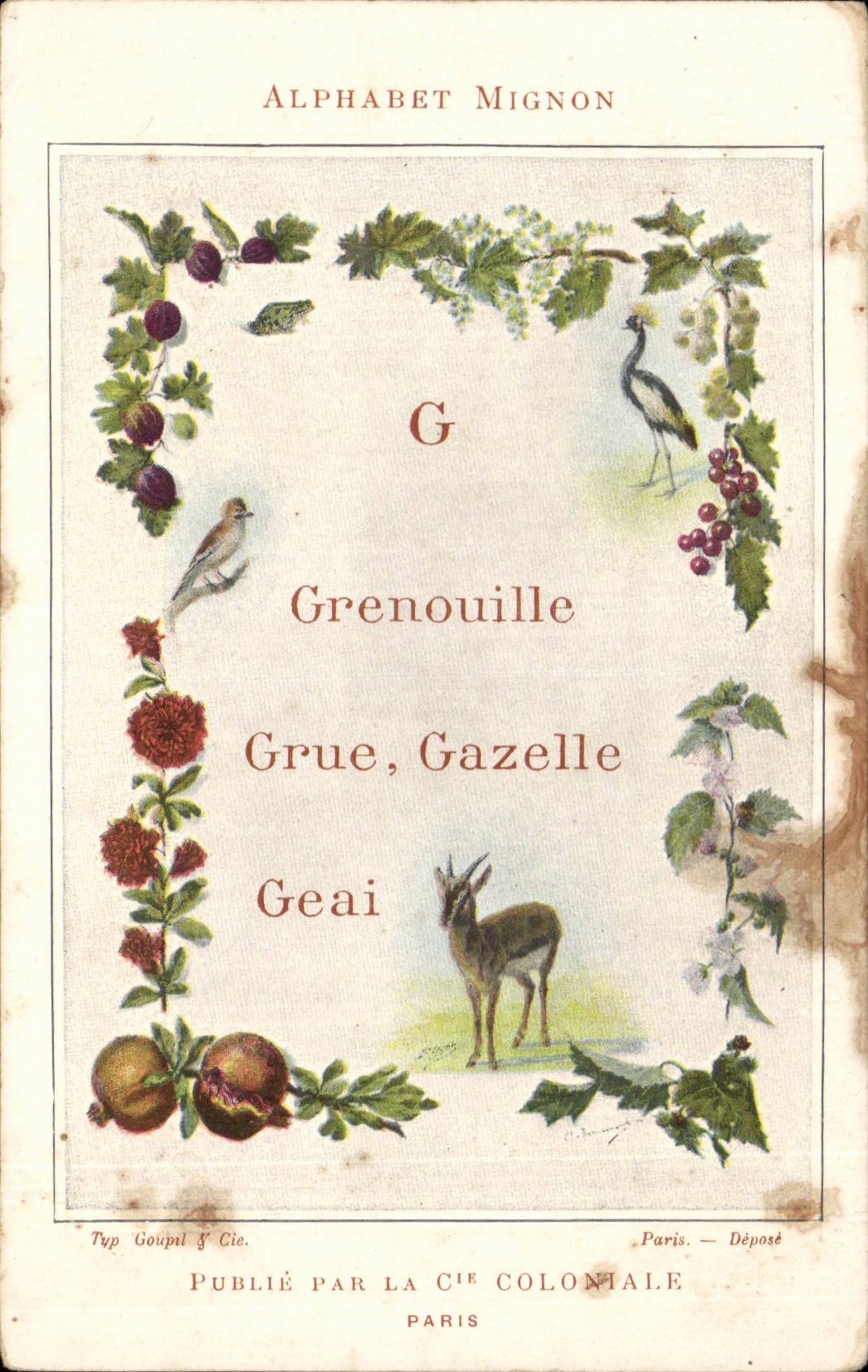 CPA Alphabet Mignon Grenouille Grue Gazelle Geai Compagnie coloniale