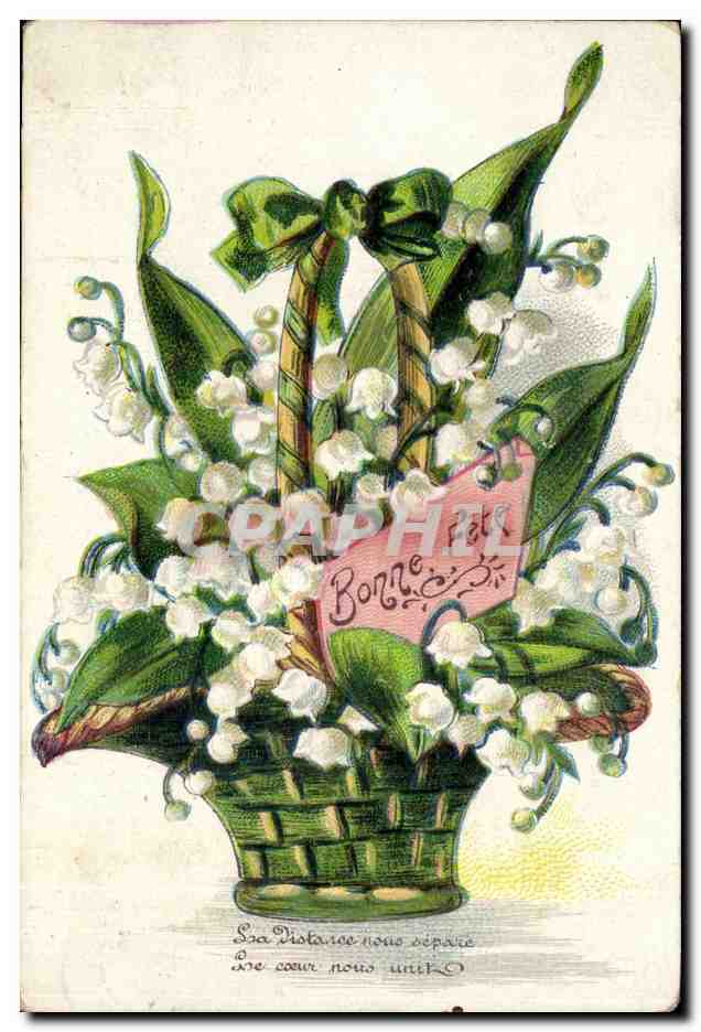 CPA Fantaisie Fleurs Bonne fete