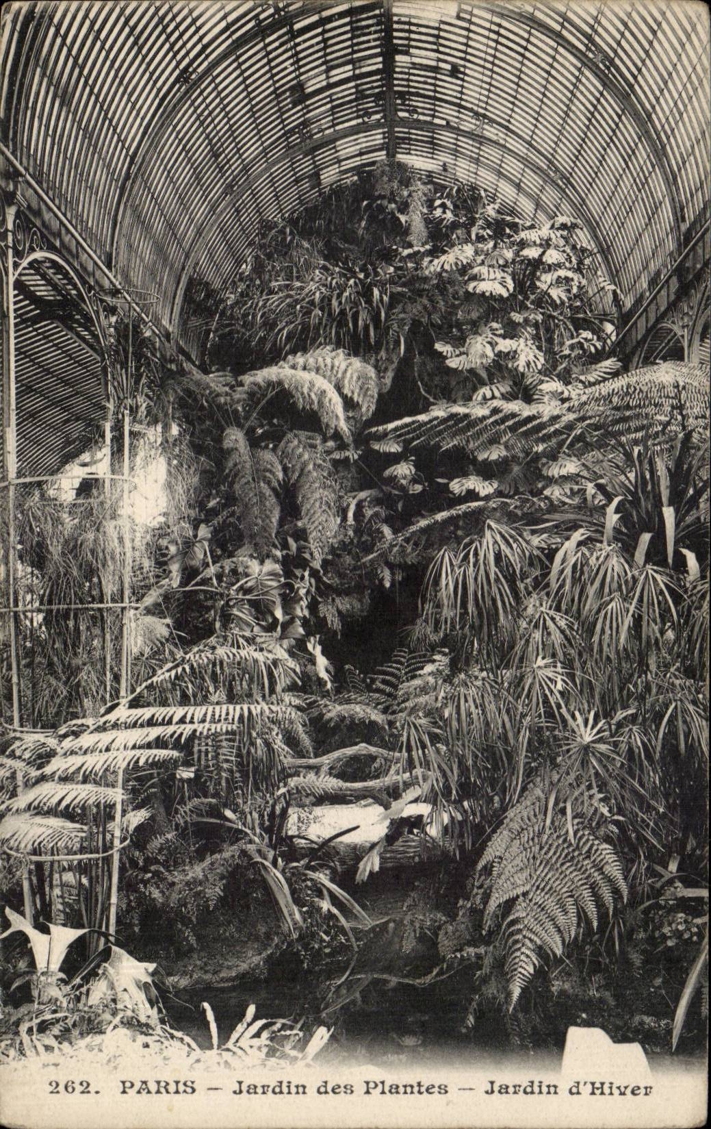 CPA Paris Jardin des plantes Jardin d'hiver