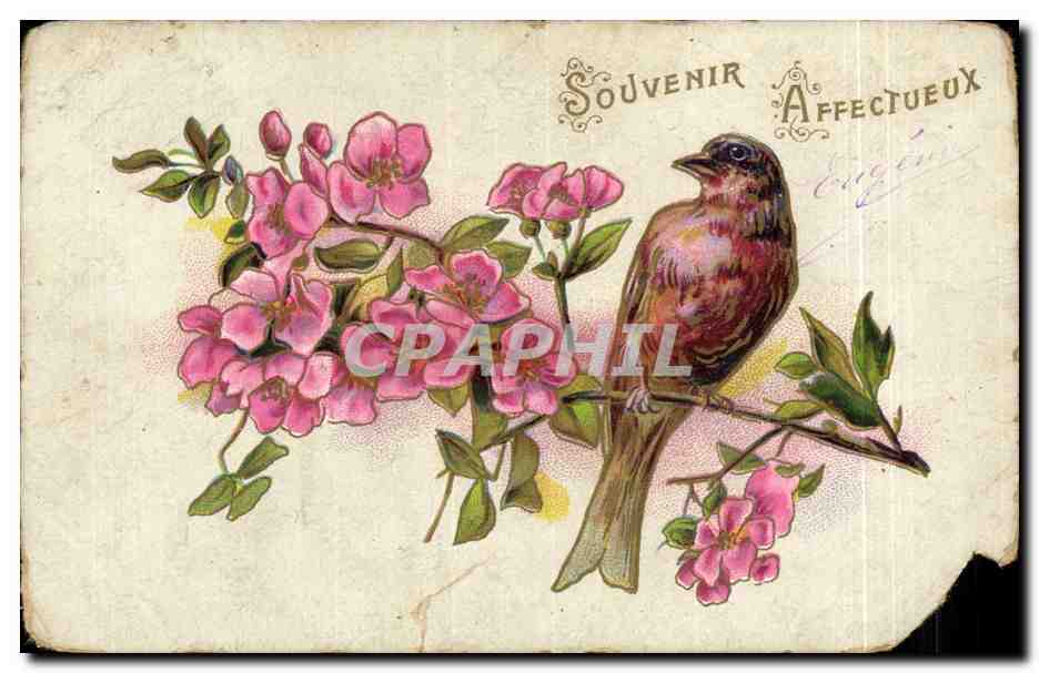 CPA Fantaisie Oiseau et fleurs
