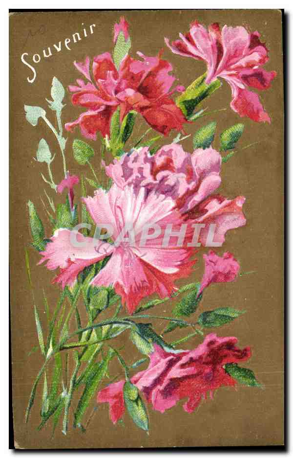 CPA FAntaisie Fleurs