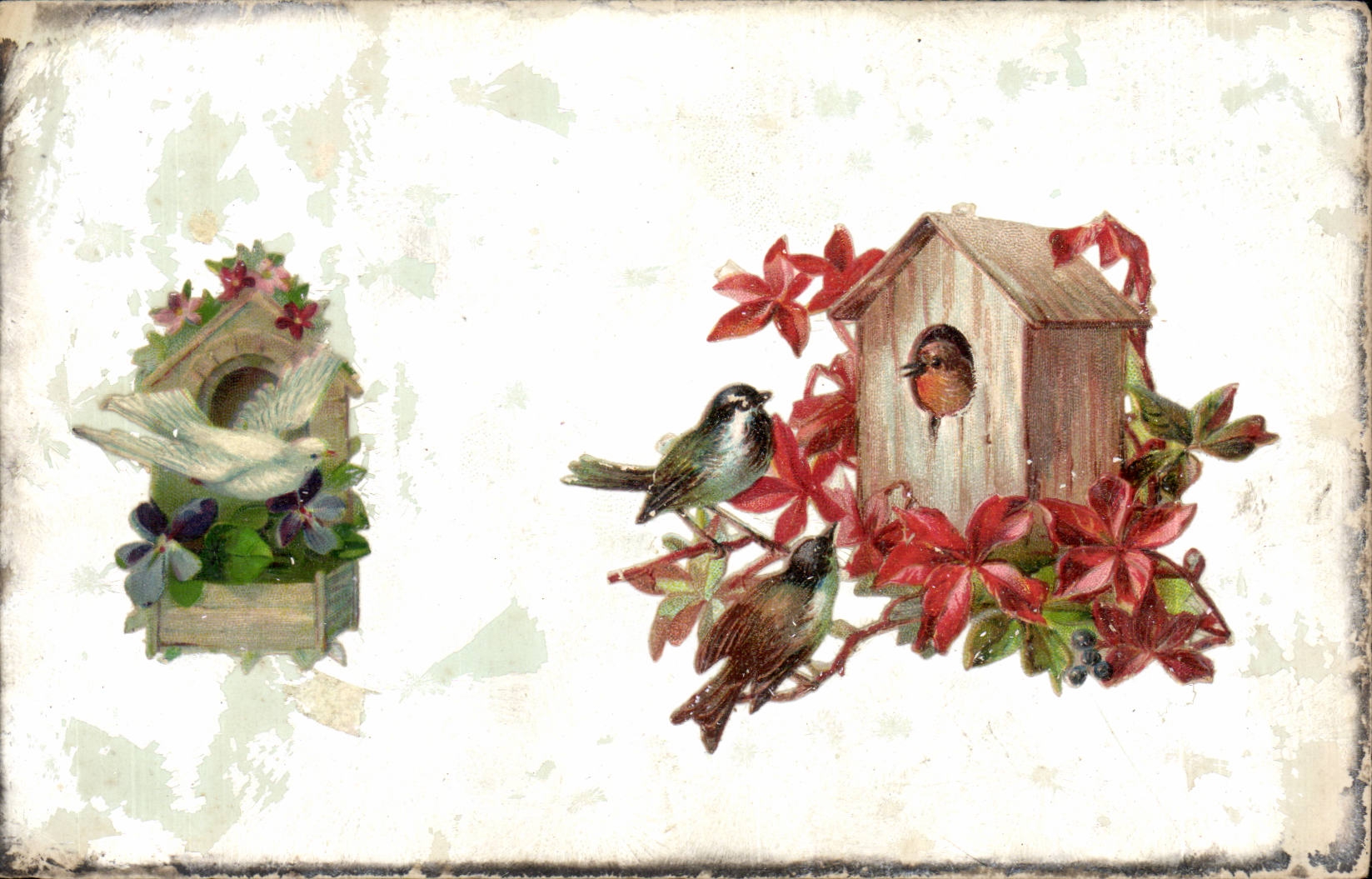CPA Fantaisie Oiseaux DEcor en relief