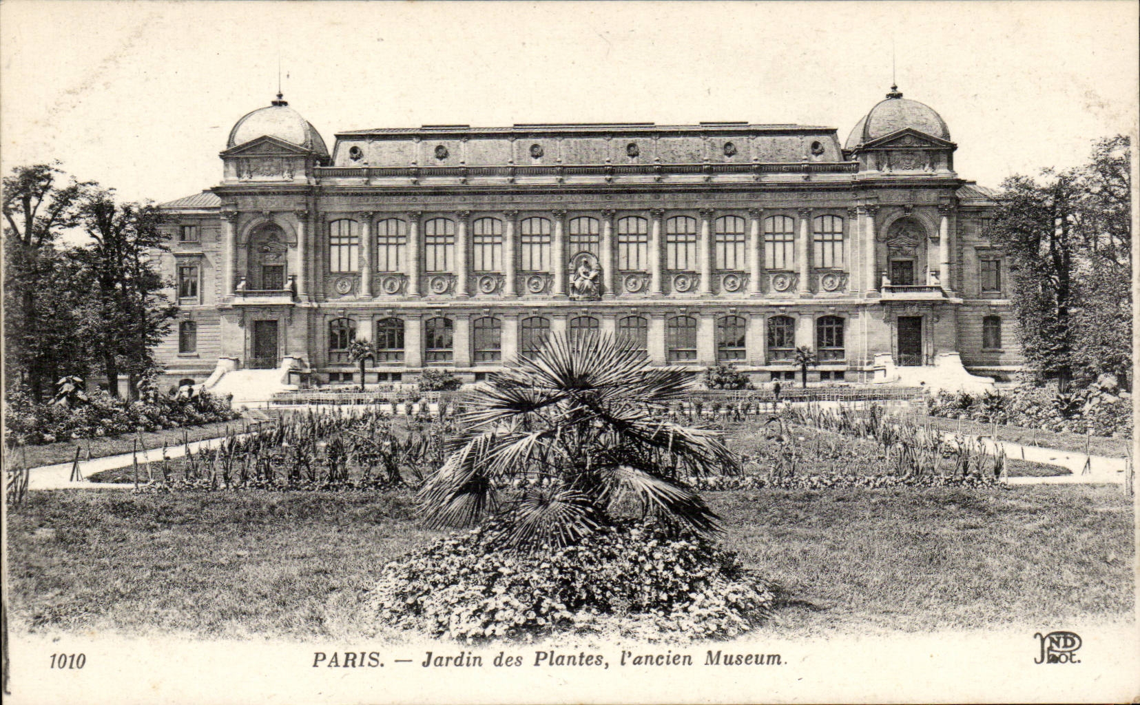 Paris CPA Jardin des Plantes L'ancien Museum