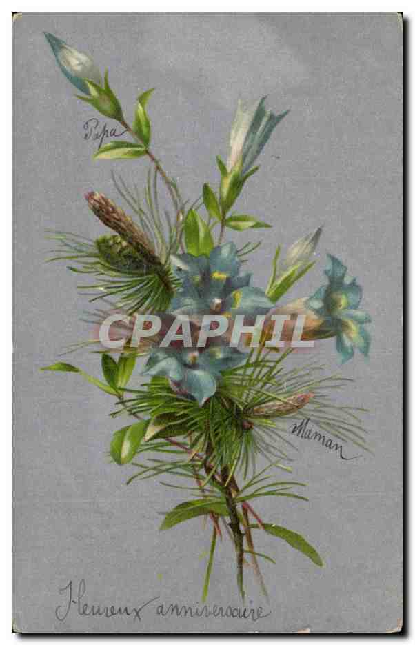 CPA Fantaisie Fleurs