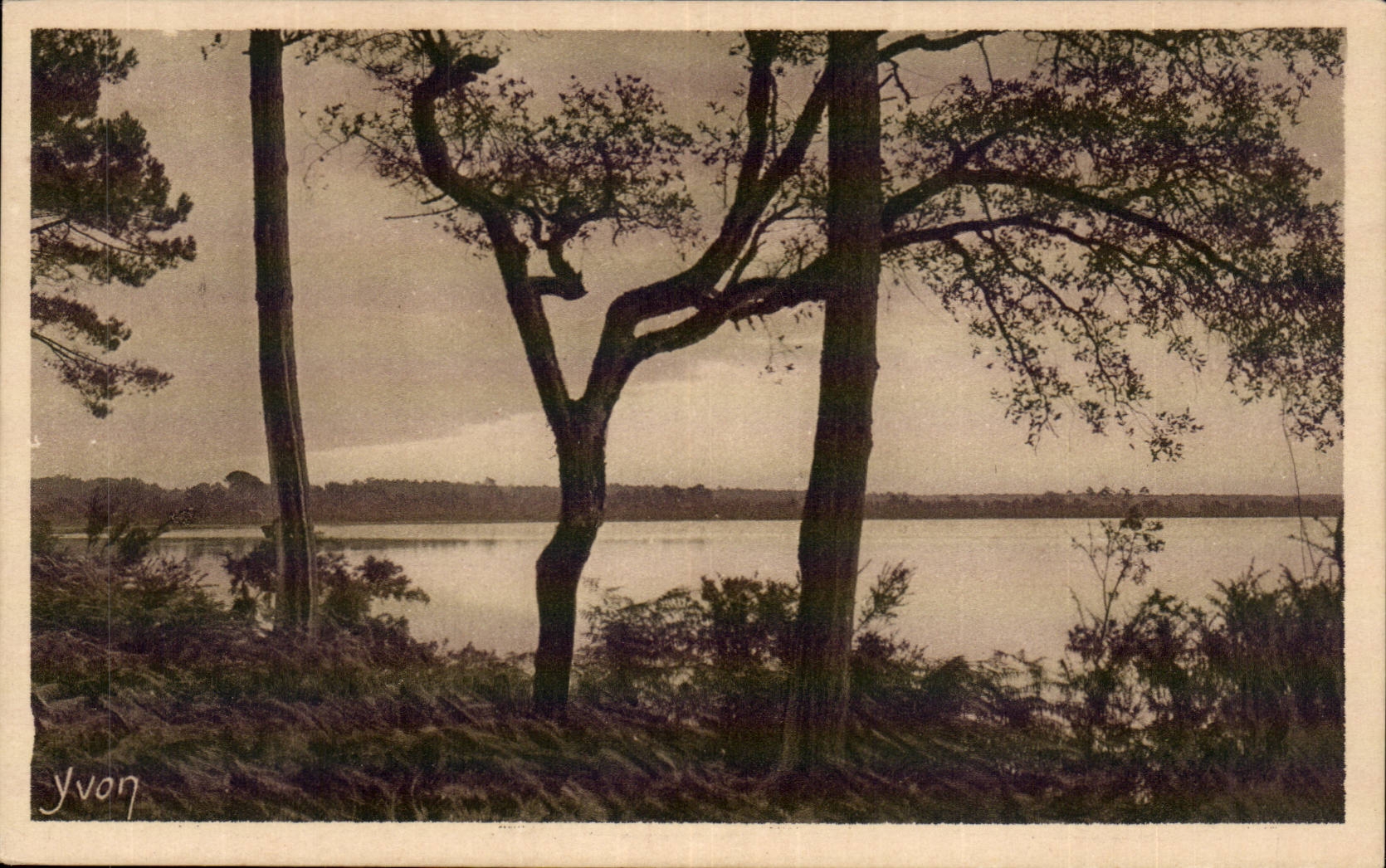 CPA Les landes de Gascogne L'etang blanc pres de dax
