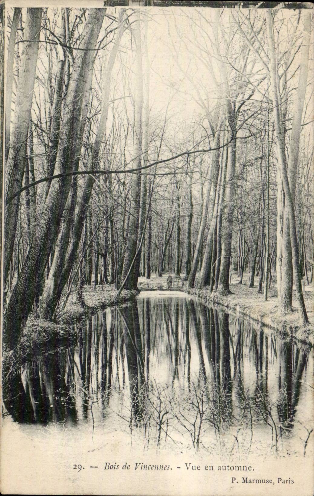 Paris - 12 - Bois de Vincennes - Vue en automne - fall - CPA 