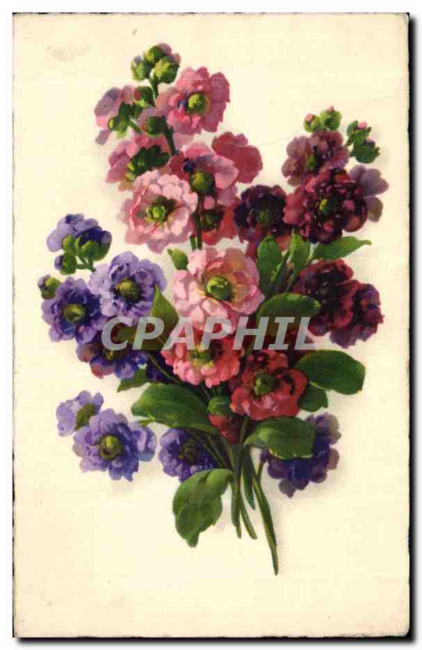 Fleurs - Flowers - Bouquet of Roses - CPA 