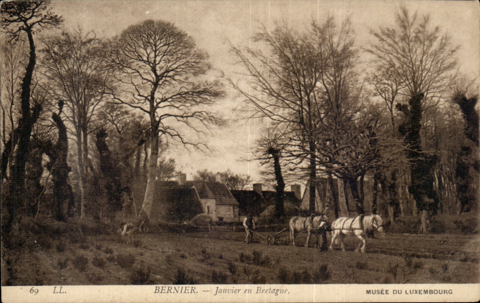 Animaux Attelage Cheval - Chevaux - Work Horses plowing a field - CPA 