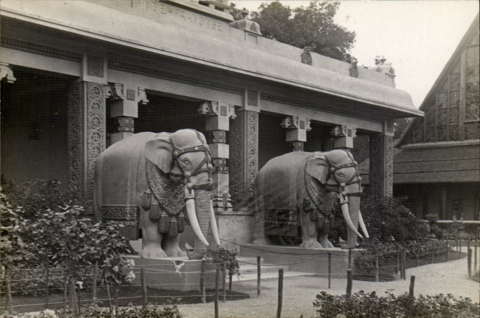 Paris - CARTE PHOTO - Exposition Internationale - elephant - elefant - CPA 