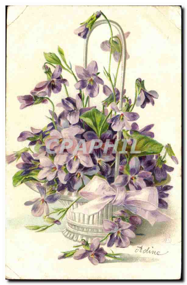 Fleurs - Beautiful purple flowers - CPA 