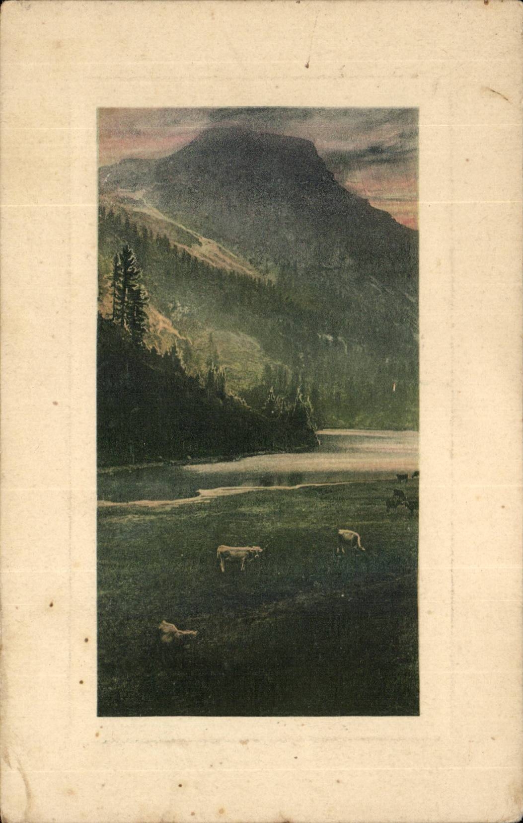 Arbres - Trees - Montagnes - Mountains - CPA 