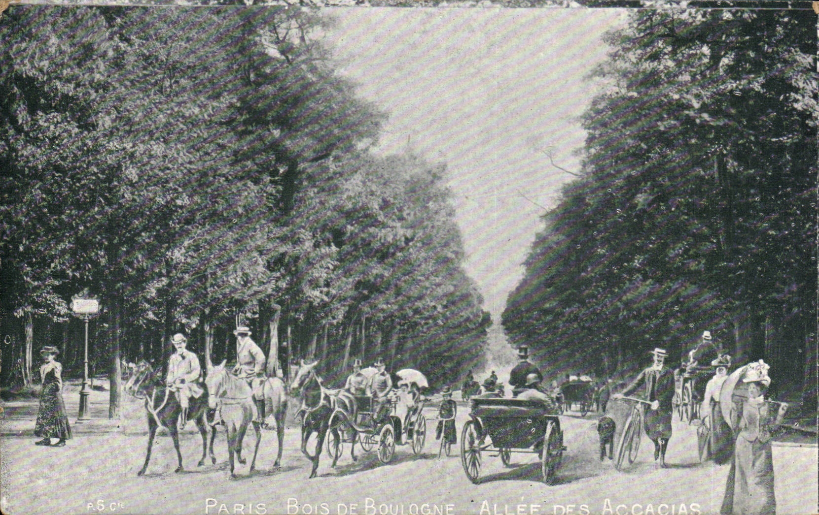 Paris - 16 - Bois de Boulogne - cheval - velo - horse CPA 