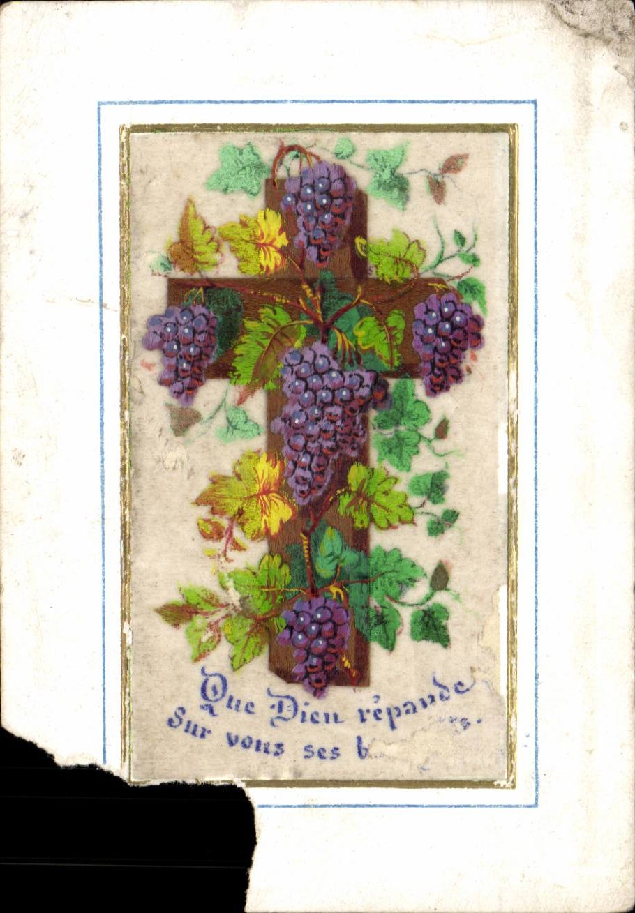 Plantes - Fruits - Raisins - Grapes - Croix - Cross - CPA 