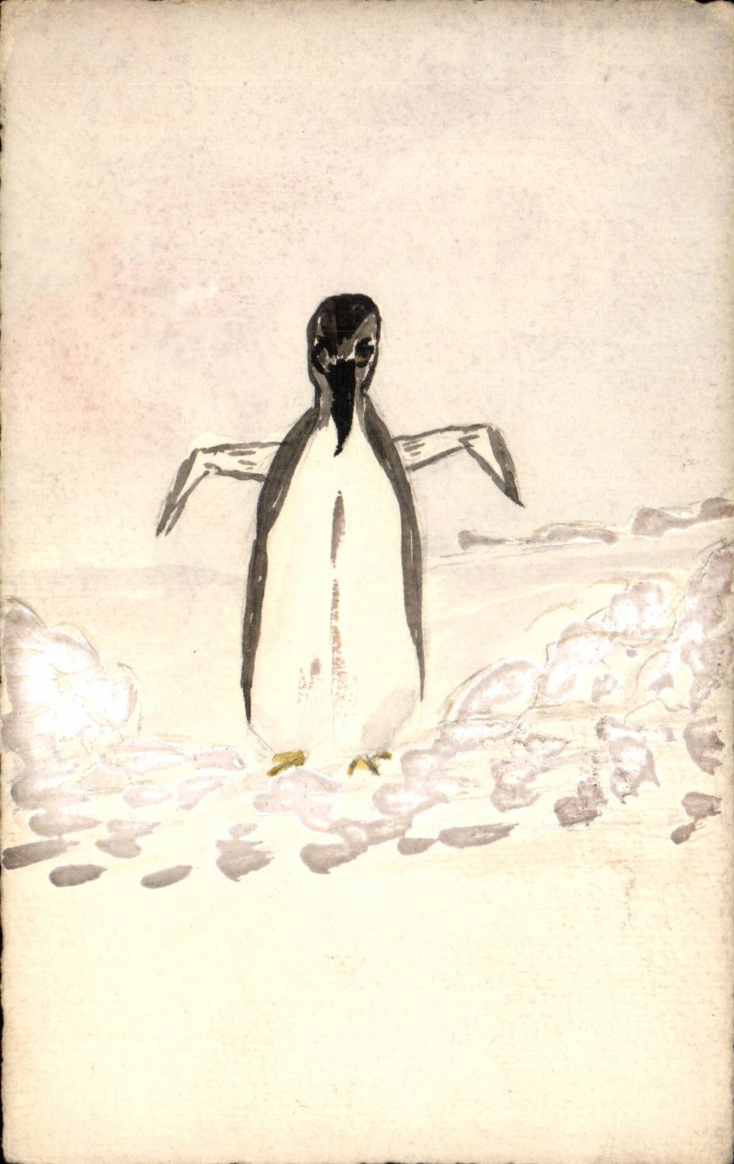 Arts - Penguin - Interesting Drawing - Oiseaux - CPA 