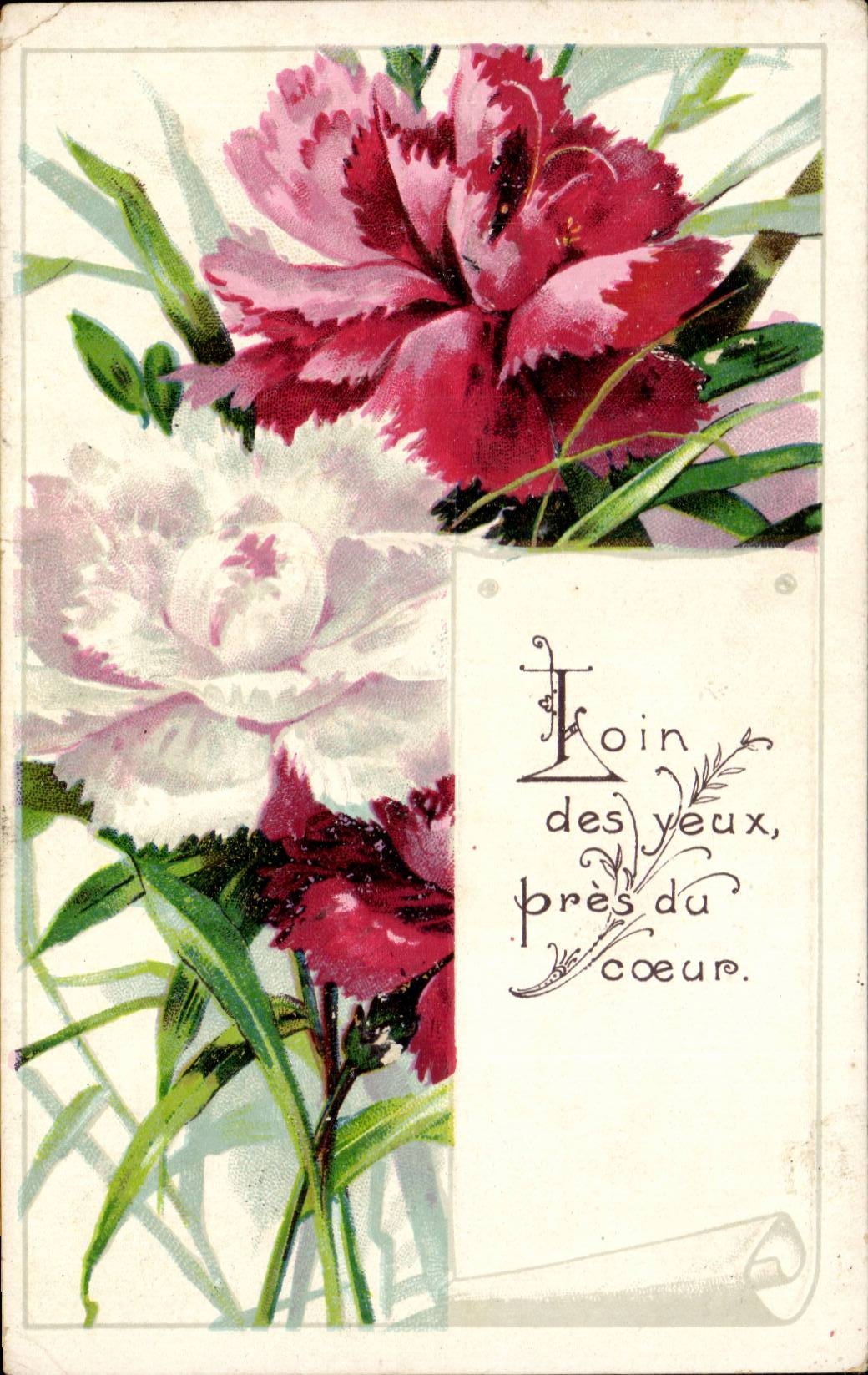 Fleurs - Colorful Flower Bouquet - CPA 