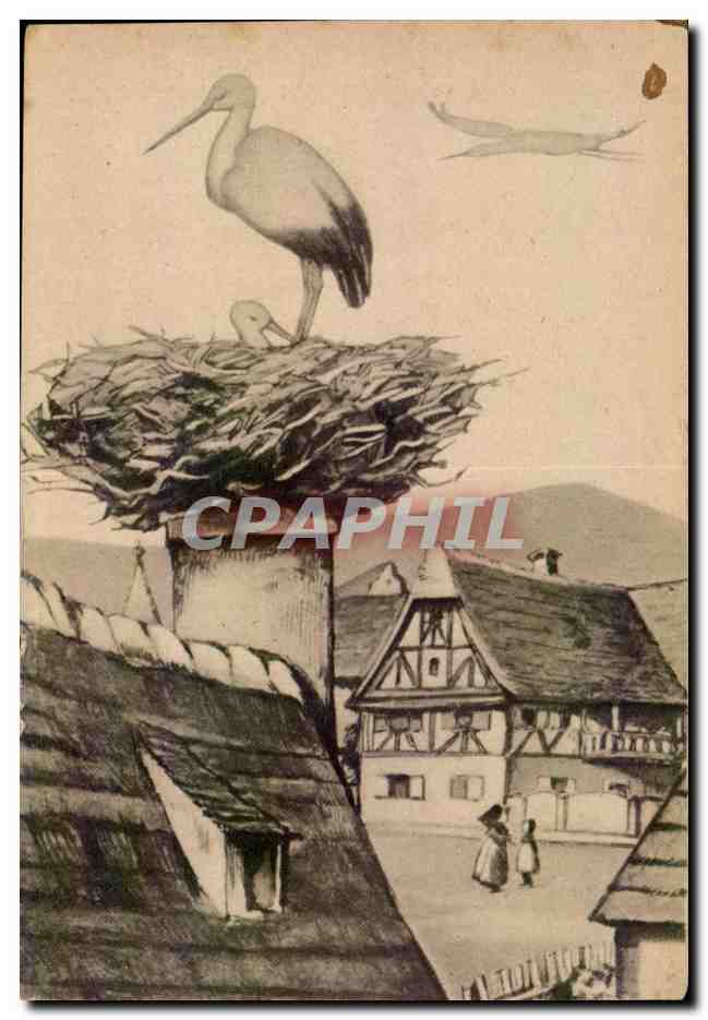 Animaux - Oiseaux - Cignone - Stork - nid en Alsace - CPA 