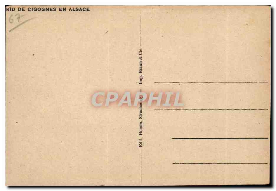 Animaux - Oiseaux - Cignone - Stork - nid en Alsace - CPA  — Back