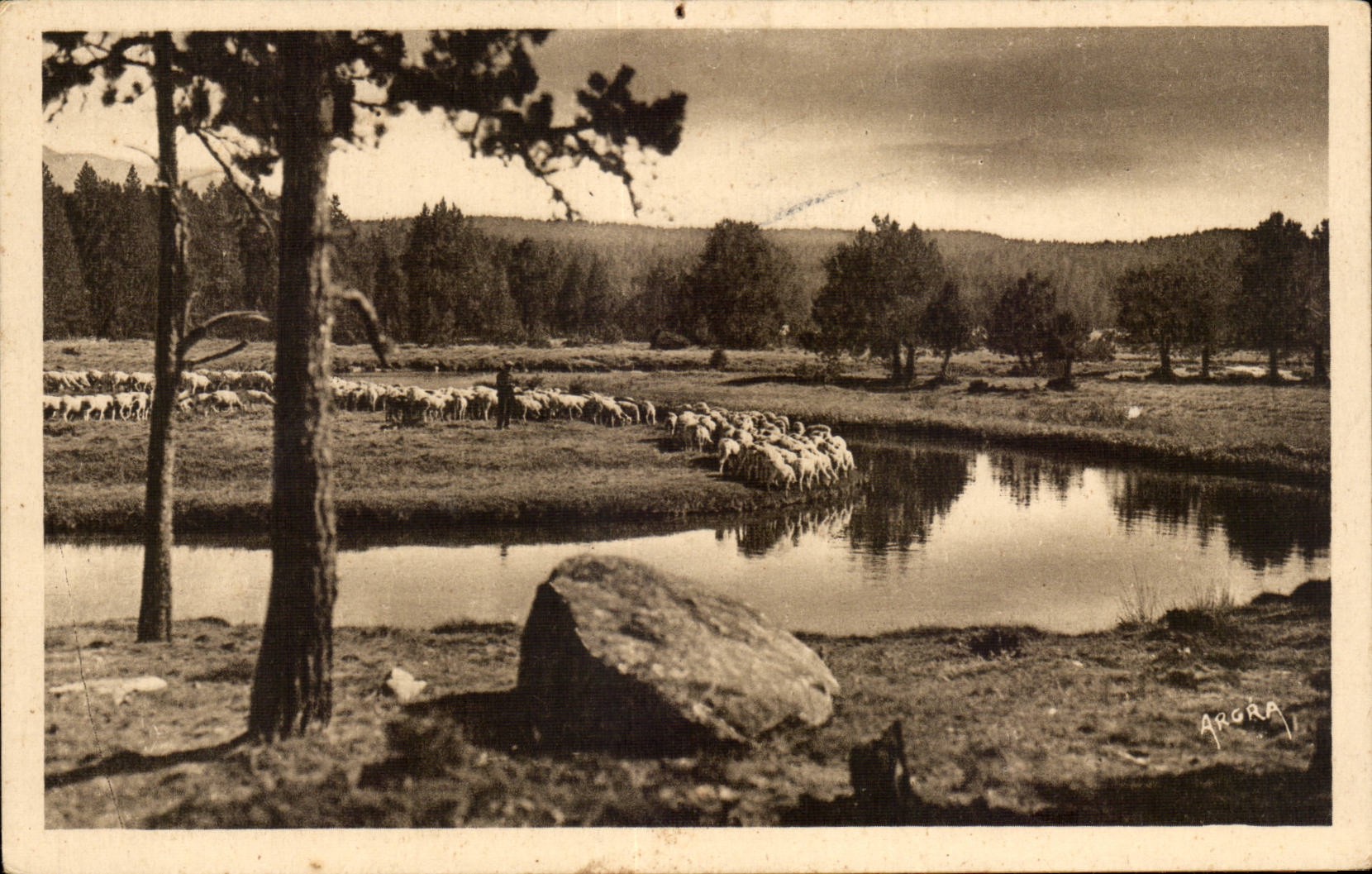Mont Louis - La Tete au Pla des Avellans - CPA 